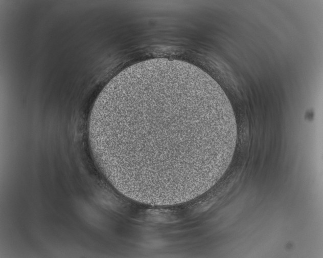 X0000116600367201001081154
