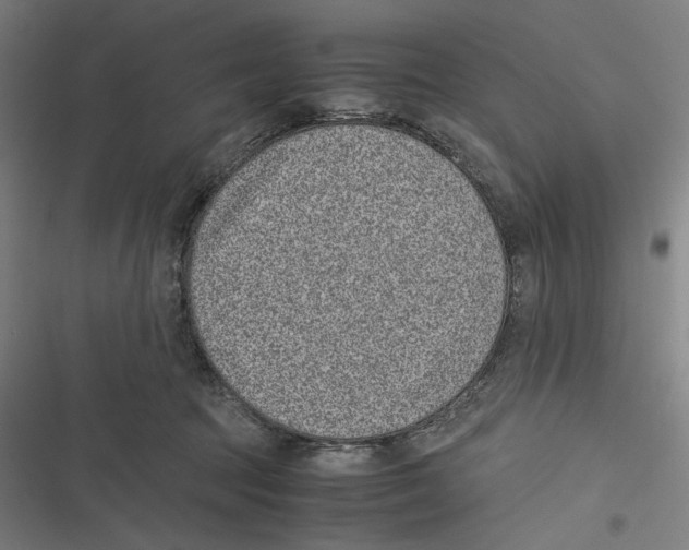 X0000116600369201001081154