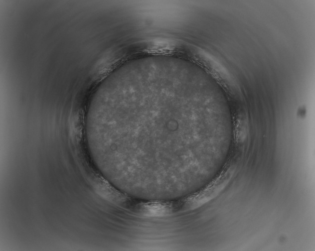 X0000116600370201001081154