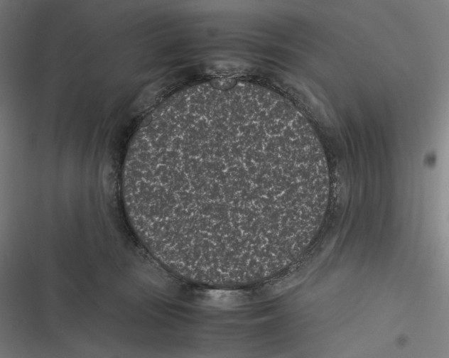 X0000116600371201001081154