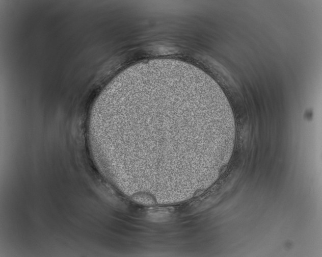 X0000116600373201001081154
