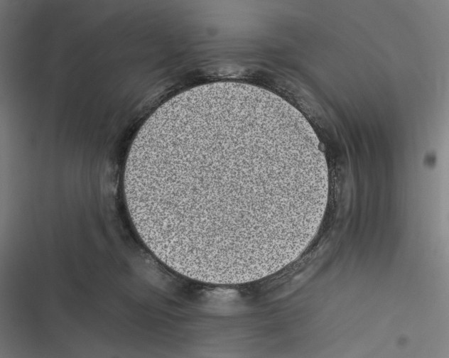 X0000116600374201001081154