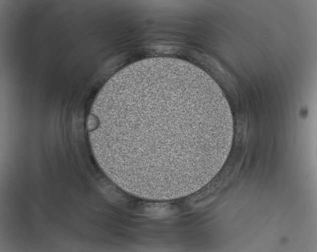 X0000116600377201001081154