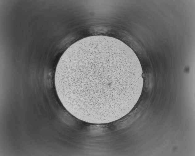 X0000116600378201001081154