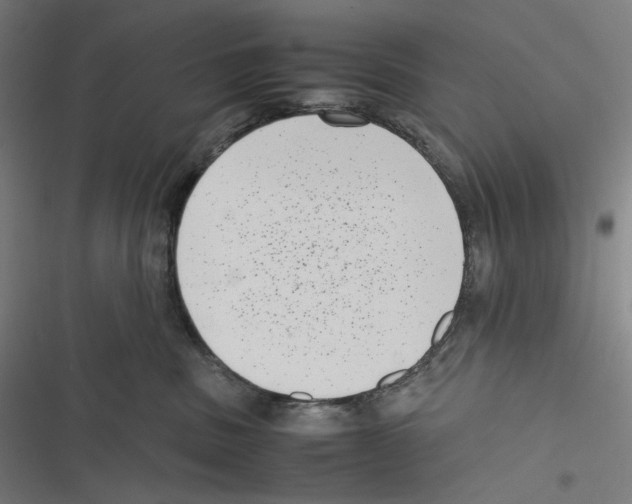 X0000116600379201001081155