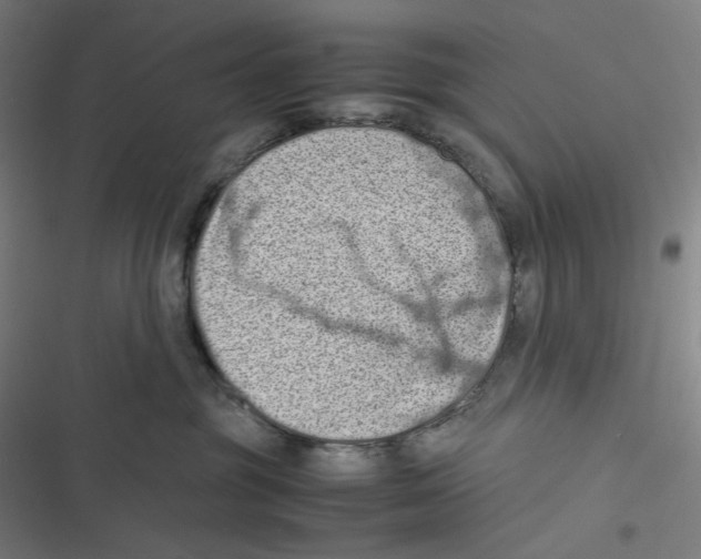 X0000116600381201001081155
