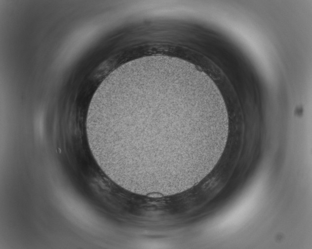 X0000116600382201001081155