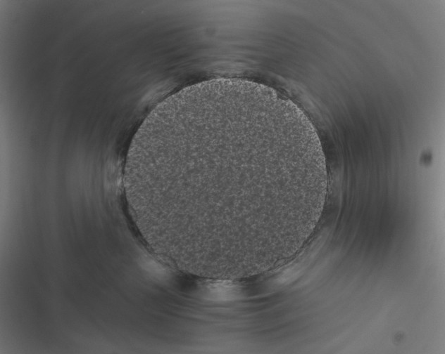 X0000116600383201001081155