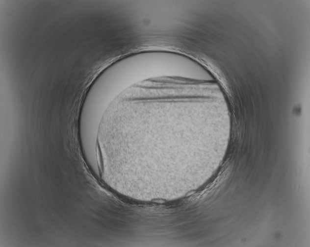 X0000116600385201001081154