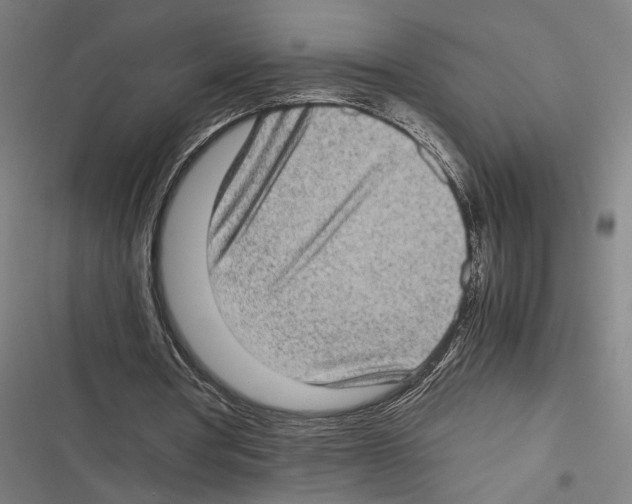 X0000116600386201001081154
