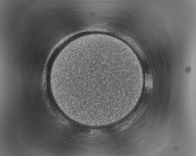X0000116600388201001081154