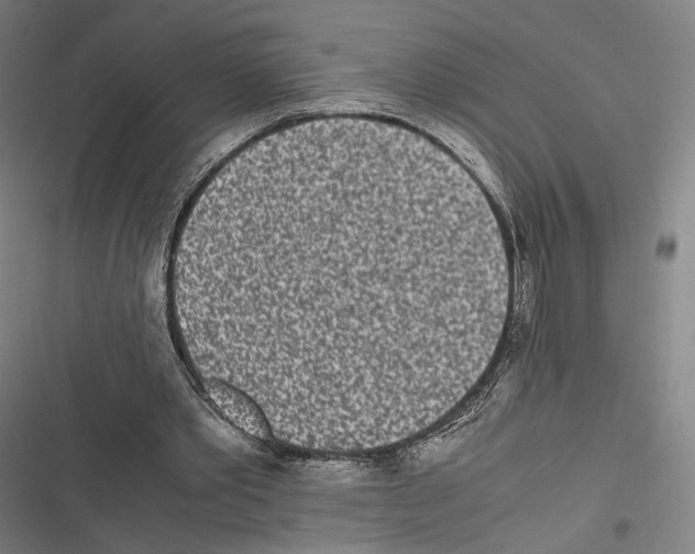 X0000116600389201001081154