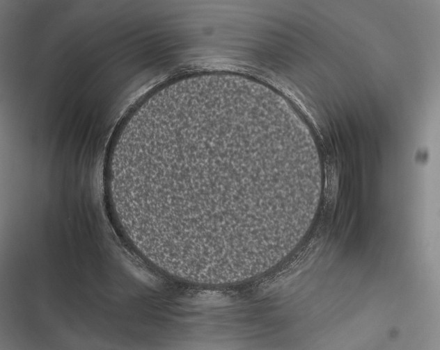 X0000116600390201001081154