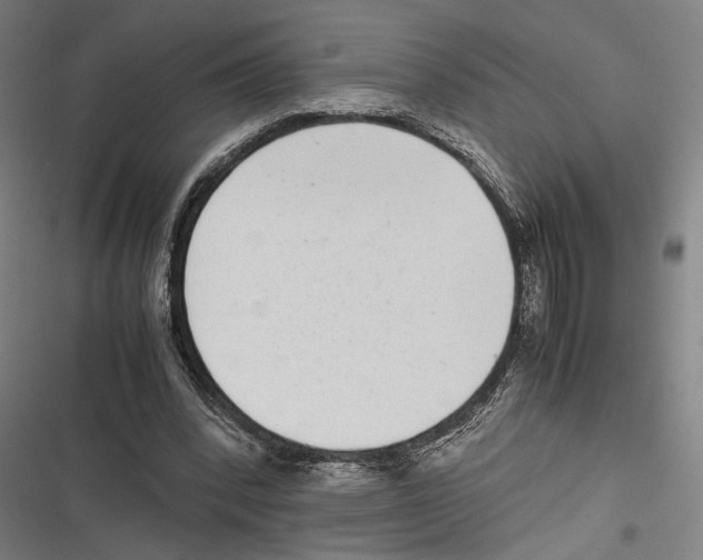 X0000116600392201001081154