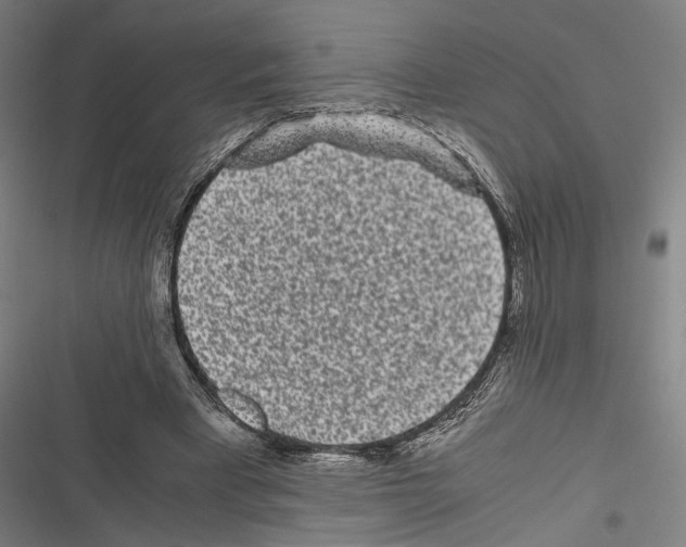 X0000116600393201001081154