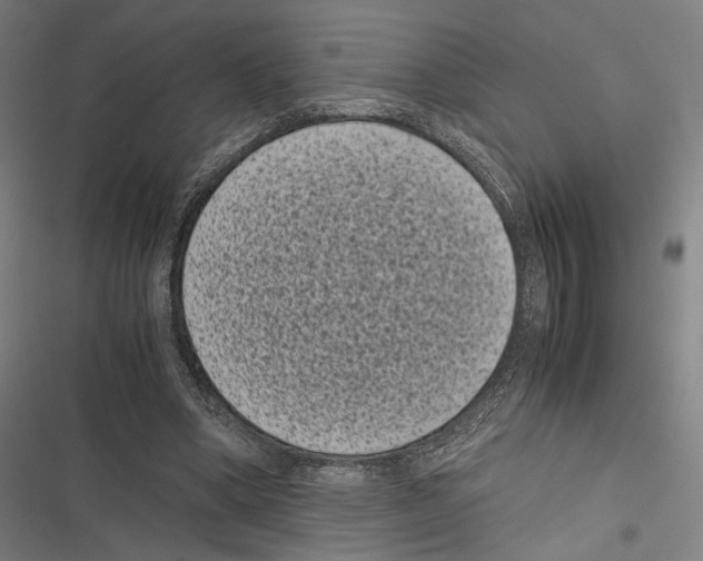 X0000116600394201001081154