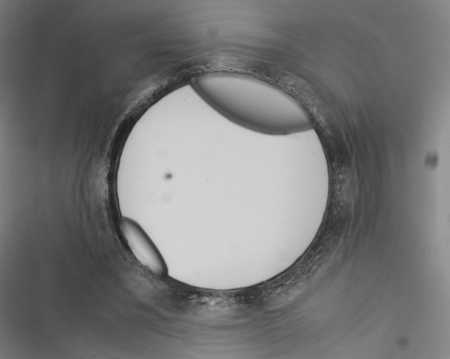 X0000116600395201001081154