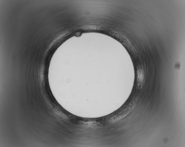 X0000116600396201001081154