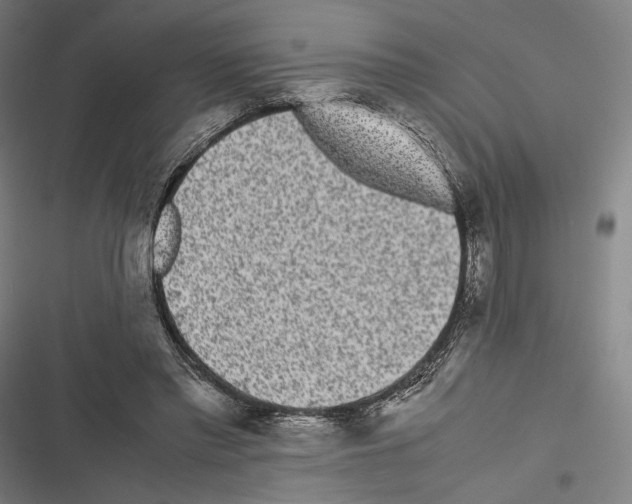 X0000116600397201001081154