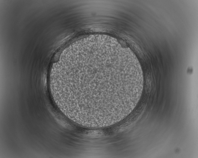 X0000116600398201001081154