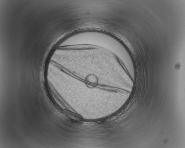 X0000116600399201001081154