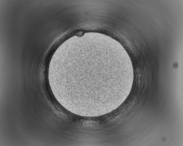 X0000116600400201001081154