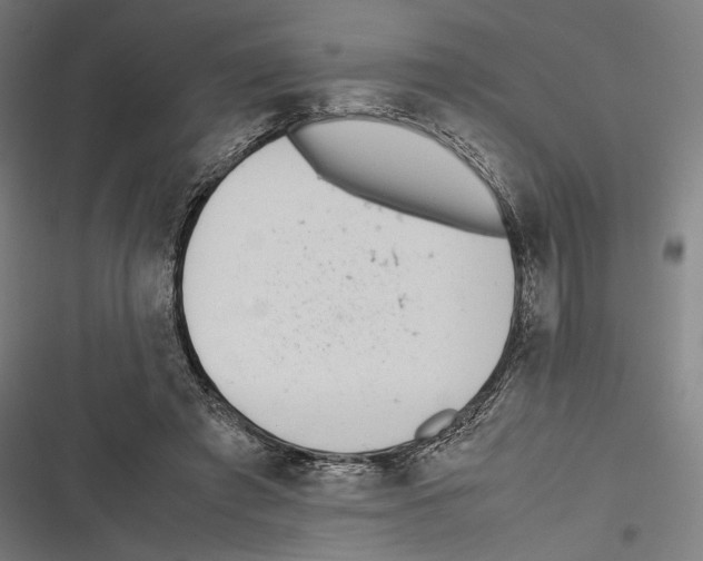 X0000116600401201001081154
