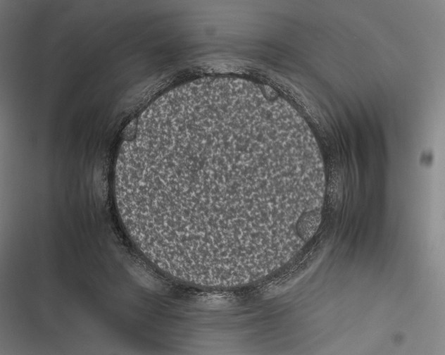 X0000116600402201001081154