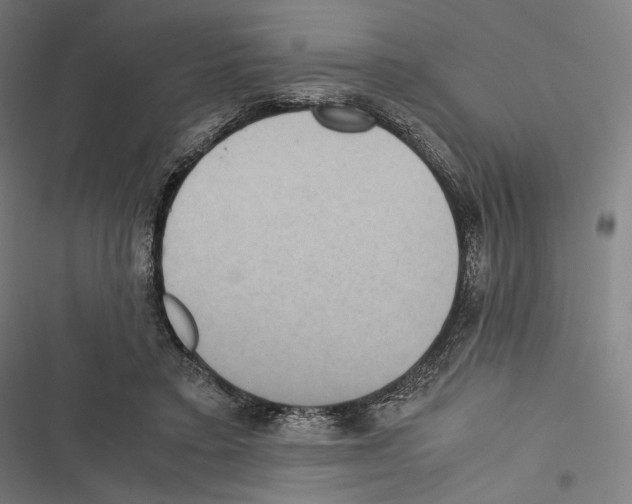 X0000116600403201001081154