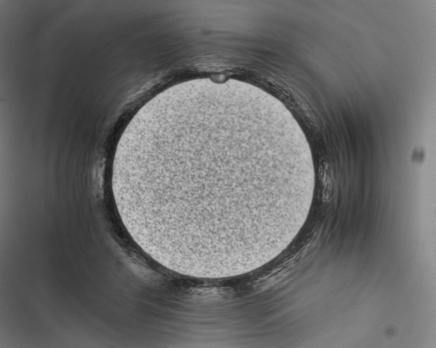 X0000116600404201001081154