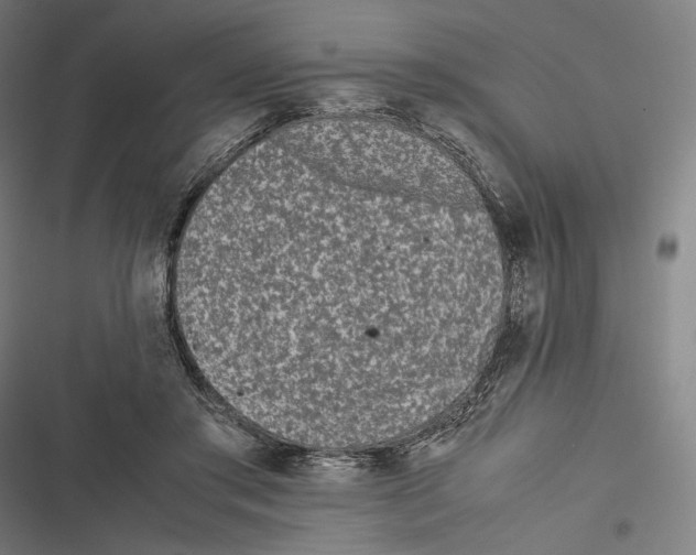 X0000116600405201001081154