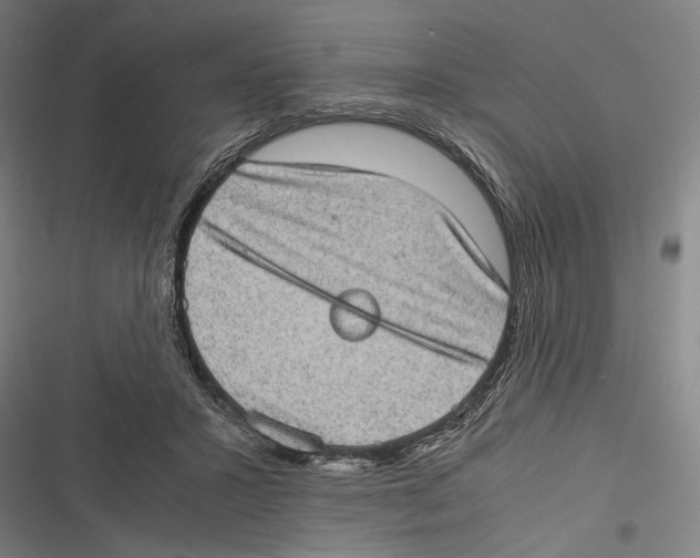 X0000116600407201001081154