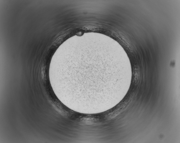 X0000116600408201001081154