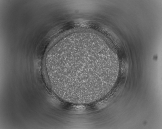 X0000116600409201001081154