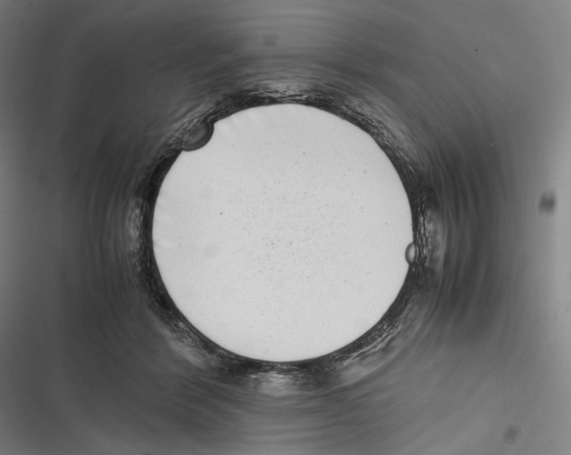 X0000116600412201001081154