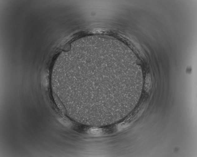 X0000116600413201001081154