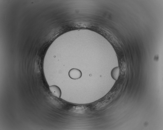 X0000116600414201001081154