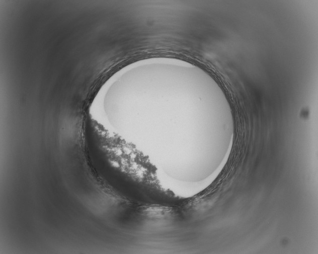 X0000116600415201001081154