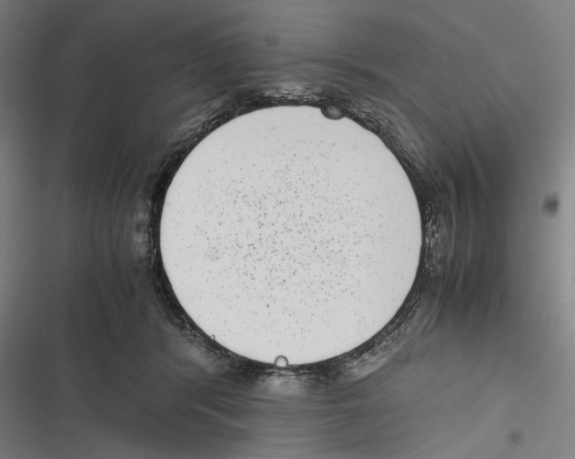 X0000116600416201001081154