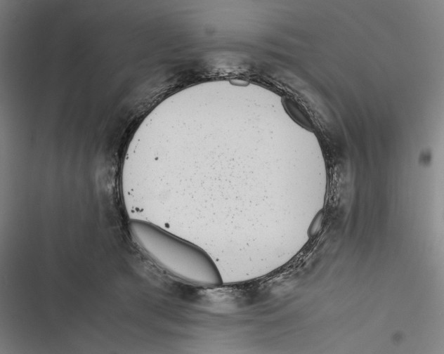X0000116600417201001081153