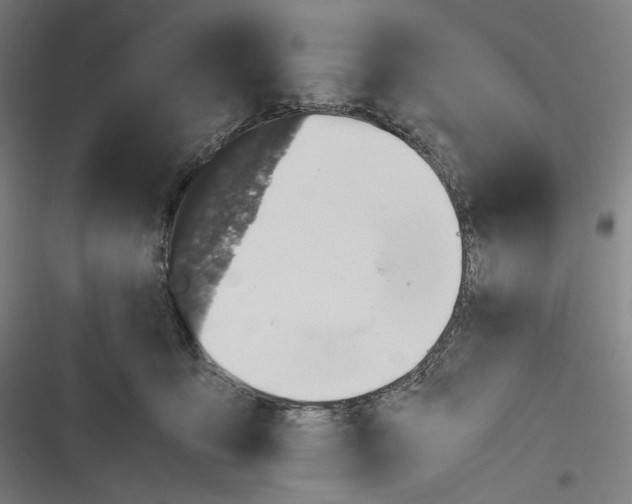 X0000116600419201001081153