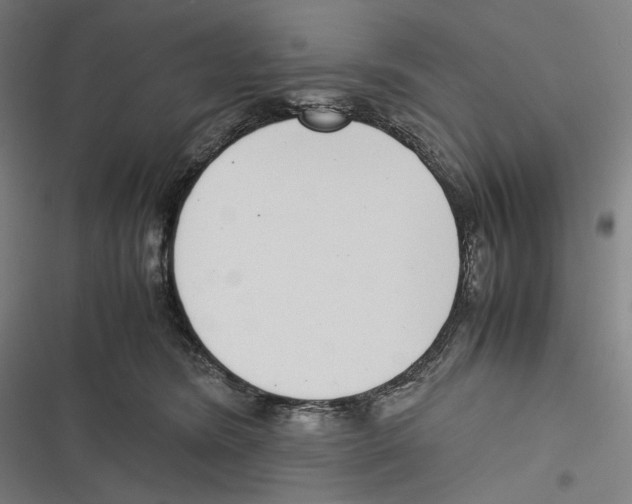 X0000116600420201001081153