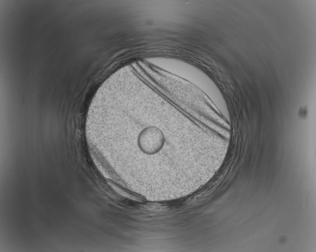 X0000116600421201001081153