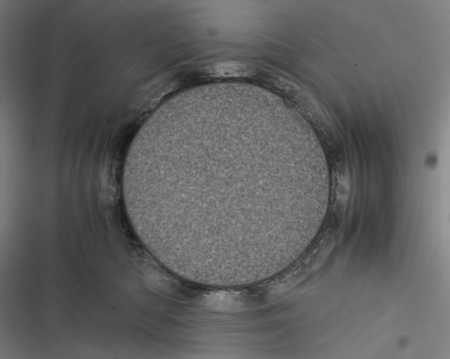 X0000116600422201001081153