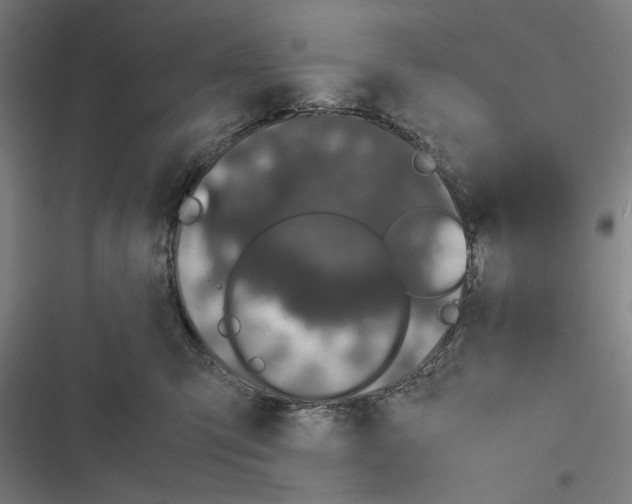 X0000116600423201001081153
