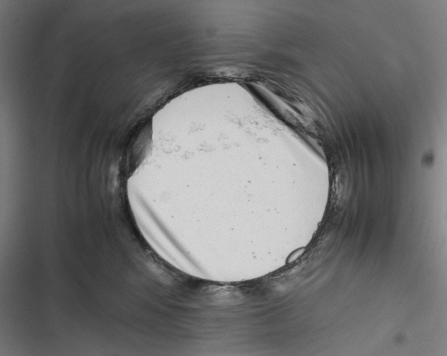 X0000116600424201001081153