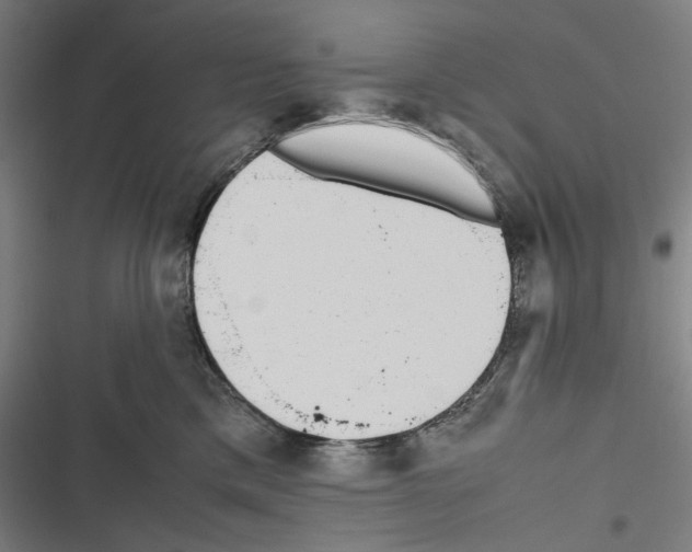 X0000116600425201001081153