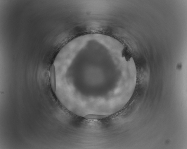 X0000116600427201001081153