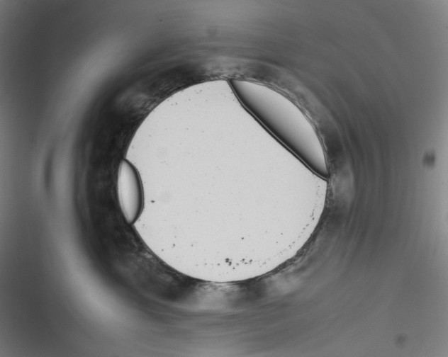 X0000116600429201001081153
