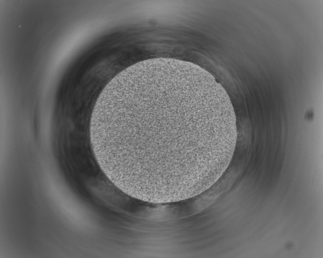 X0000116600430201001081153